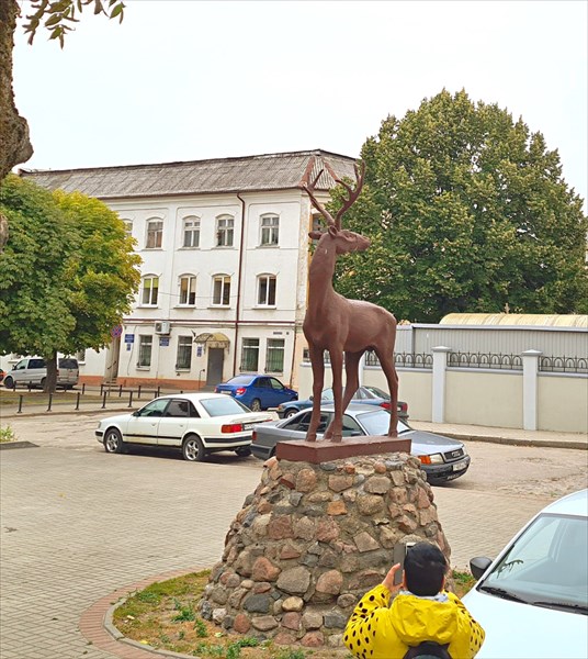 064 - Черняховск, Олень